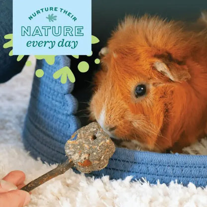 Oxbow Enriched Life Crazy Hay Ball Small Pet Toy