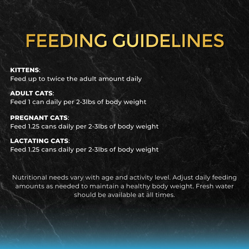 Fussie Cat Black Label Tuna with Small Anchovies Formula in Gravy Wet Cat Food, 2.82oz