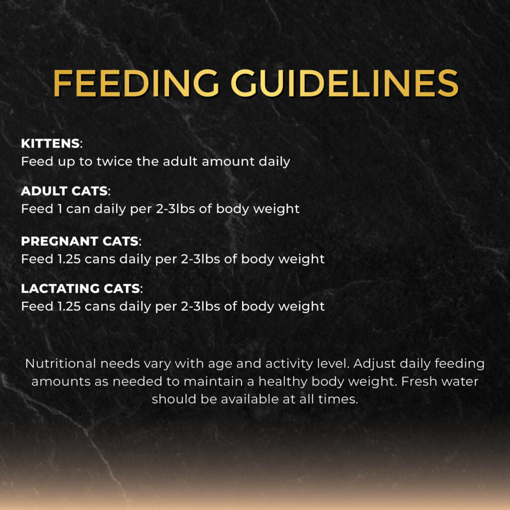 Fussie Cat Black Label Tuna with Prawn Formula in Gravy Wet Cat Food, 2.82oz