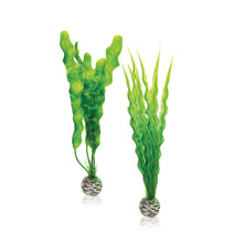 Load image into Gallery viewer, Oase biOrb Green Easy Plants Medium Set
