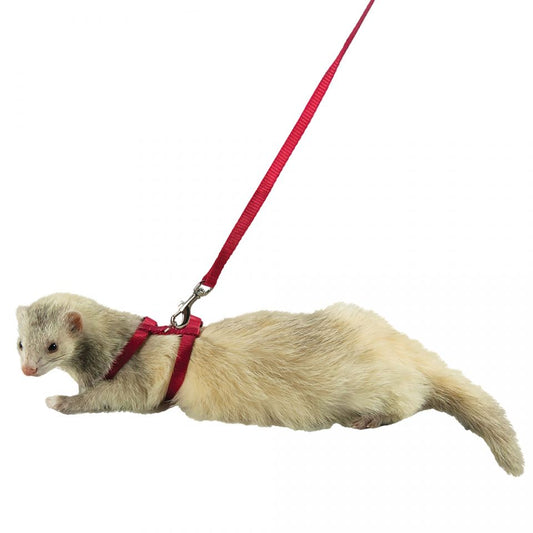 Marshall Ferret Harness & Lead Set