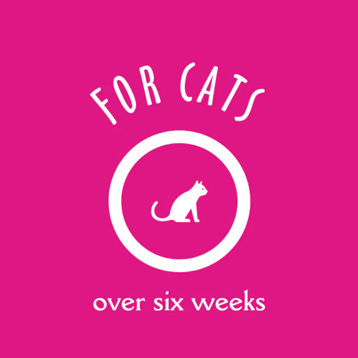 Earthbath Hypo-Allergenic Grooming Foam Waterless Shampoo for Cats, 4 oz