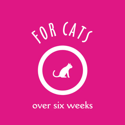 Earthbath Hypo-Allergenic Grooming Foam Waterless Shampoo for Cats, 4 oz