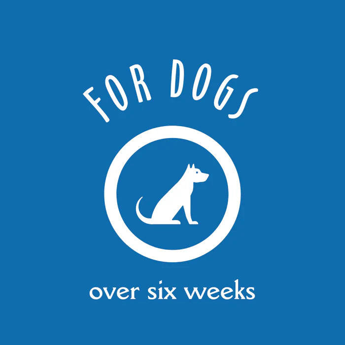 Earthbath Hypoallergenic Grooming Foam Waterless Shampoo for Dogs, 8 oz