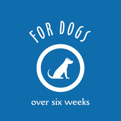 Earthbath Hypoallergenic Grooming Foam Waterless Shampoo for Dogs, 8 oz