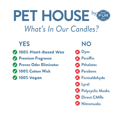 Pet House Pina Colada Plant-Based Soy Wax Candle