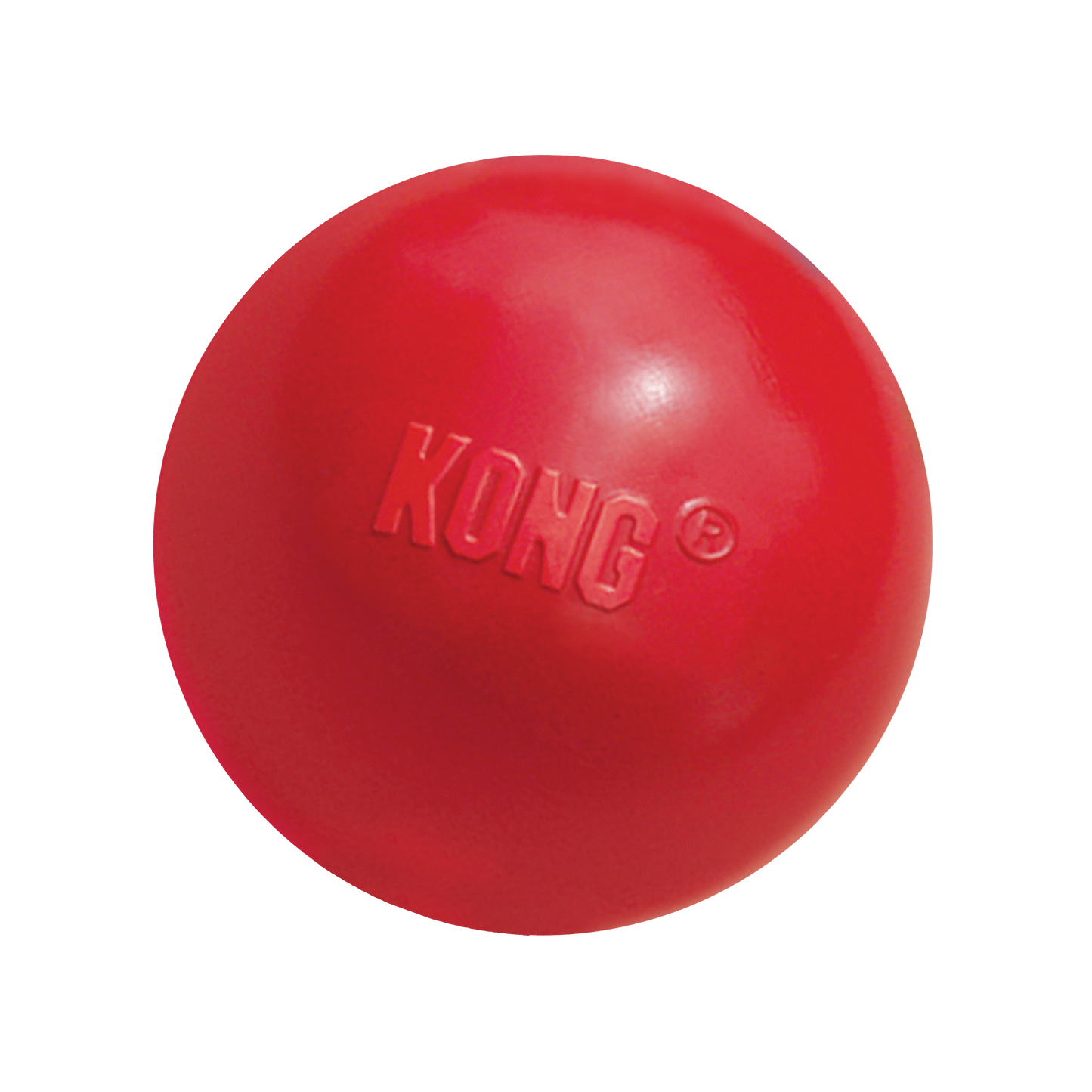 Kong Ball Dog Toy