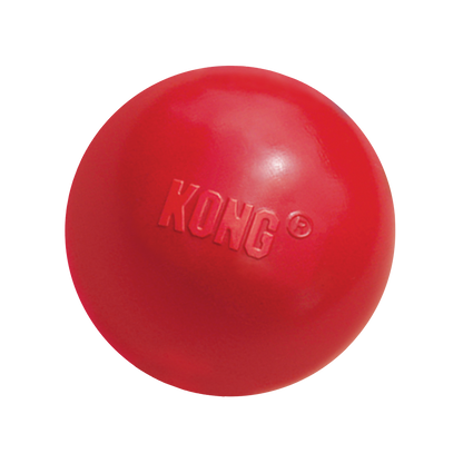 Kong Ball Dog Toy