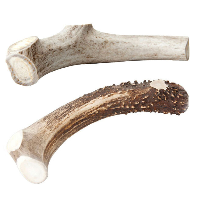 Deer Antler Dog Chews, XLG