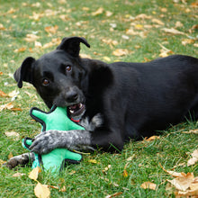 Load image into Gallery viewer, Kong Ballistic Alligator Dog Toy
