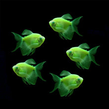Load image into Gallery viewer, Longfin GloFish Tetra
