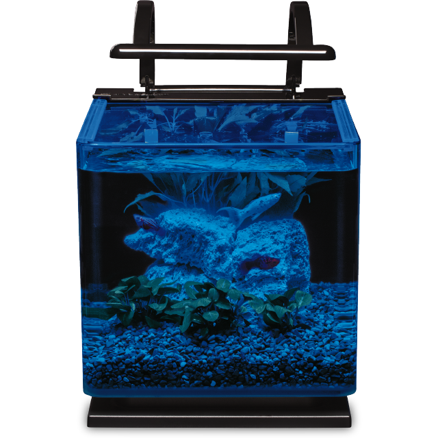 Marineland Contour 3 Aquarium Kit 3 gal – Pet Paradise - Harvard