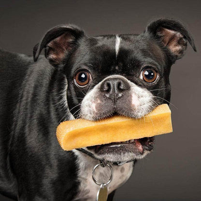 peaksNpaws Medium Yak Milk Dog Chews, 1 Count