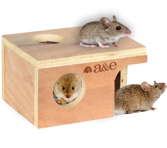 A&E Small Mouse Hut