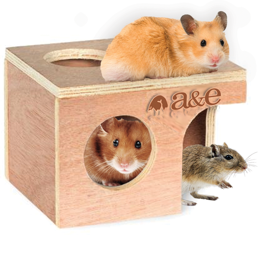 A&E Medium Hamster/Gerbil Hut