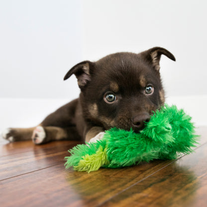 Kong Plush Frog Dog Toy