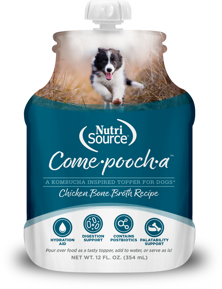 NutriSource Come-Pooch-A Chicken Bone Broth Recipe for Dogs, 12 oz.