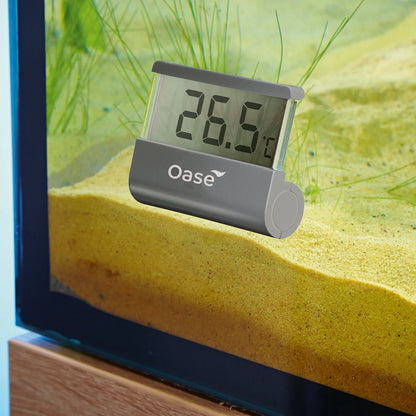 Oase Digital Thermometer