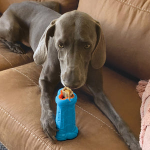 KONG Treatster Treat Dispenser Dog Toy