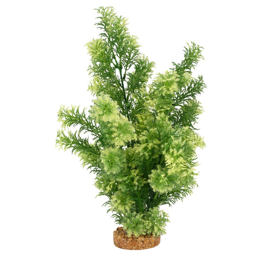 Fluval Aqualife White-Tipped Hottonia Aquarium Plant, 14"