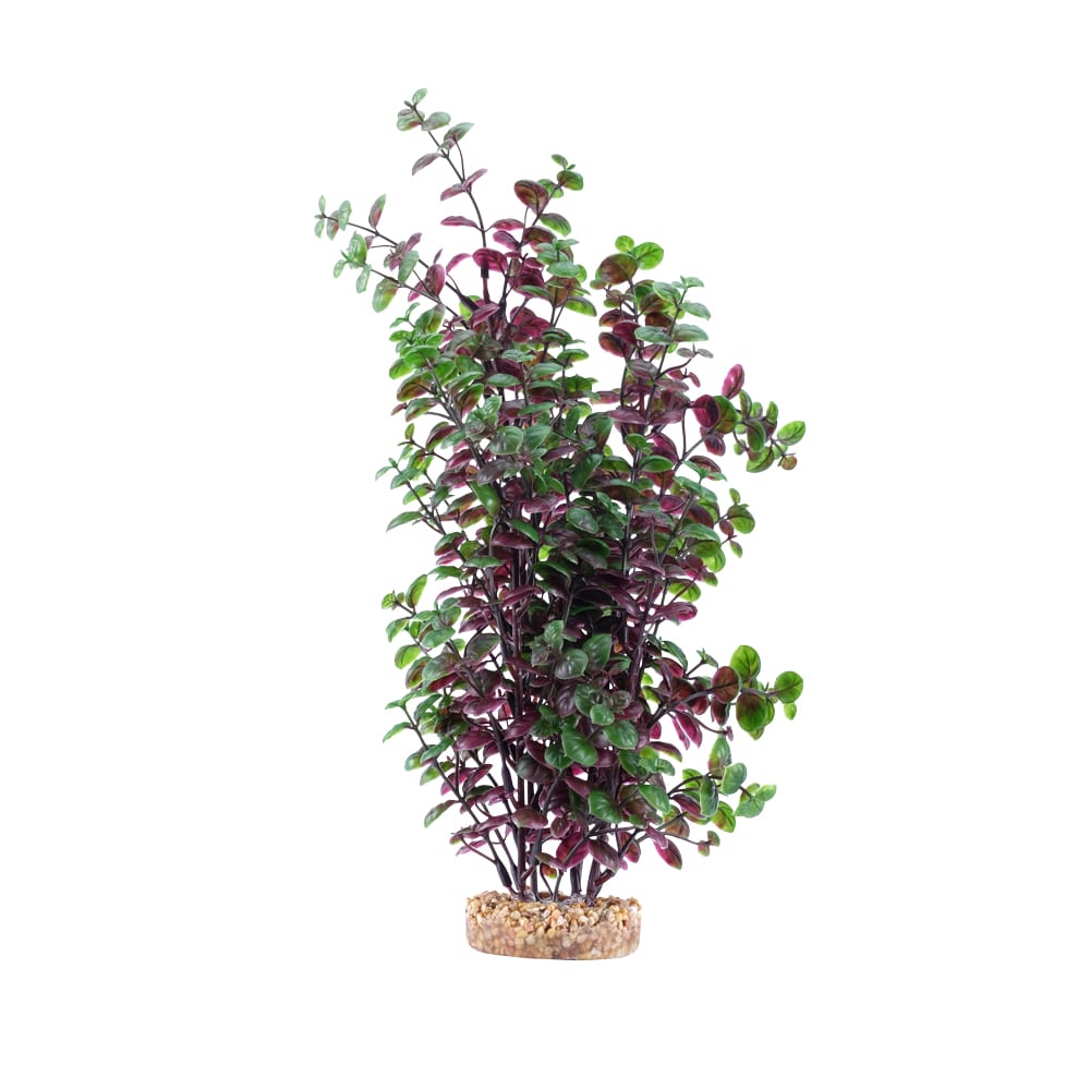 Fluval Aqualife Red Bacopa Aquarium Plant, 14"