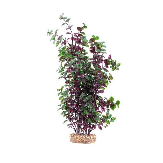 Fluval Aqualife Red Bacopa Aquarium Plant, 14"