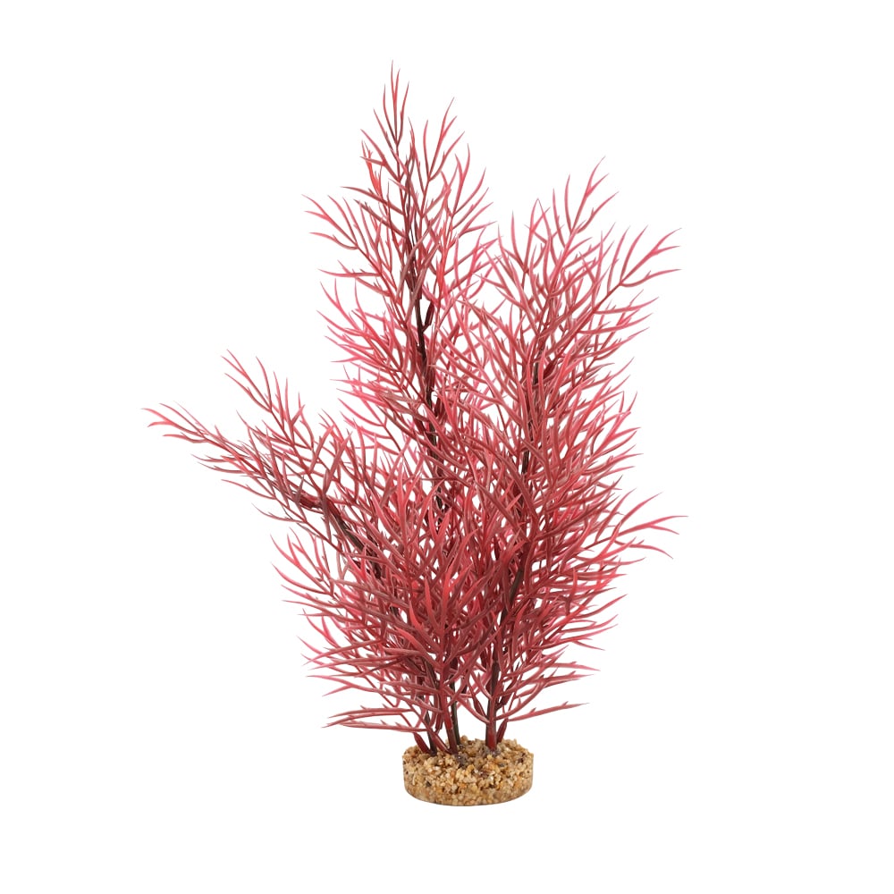 Fluval Aqualife Scarlet Eichornea Aquarium Plant, 14"