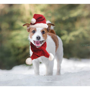 Fashion Pet Santa Hat & Scarf Set For Pets, Red