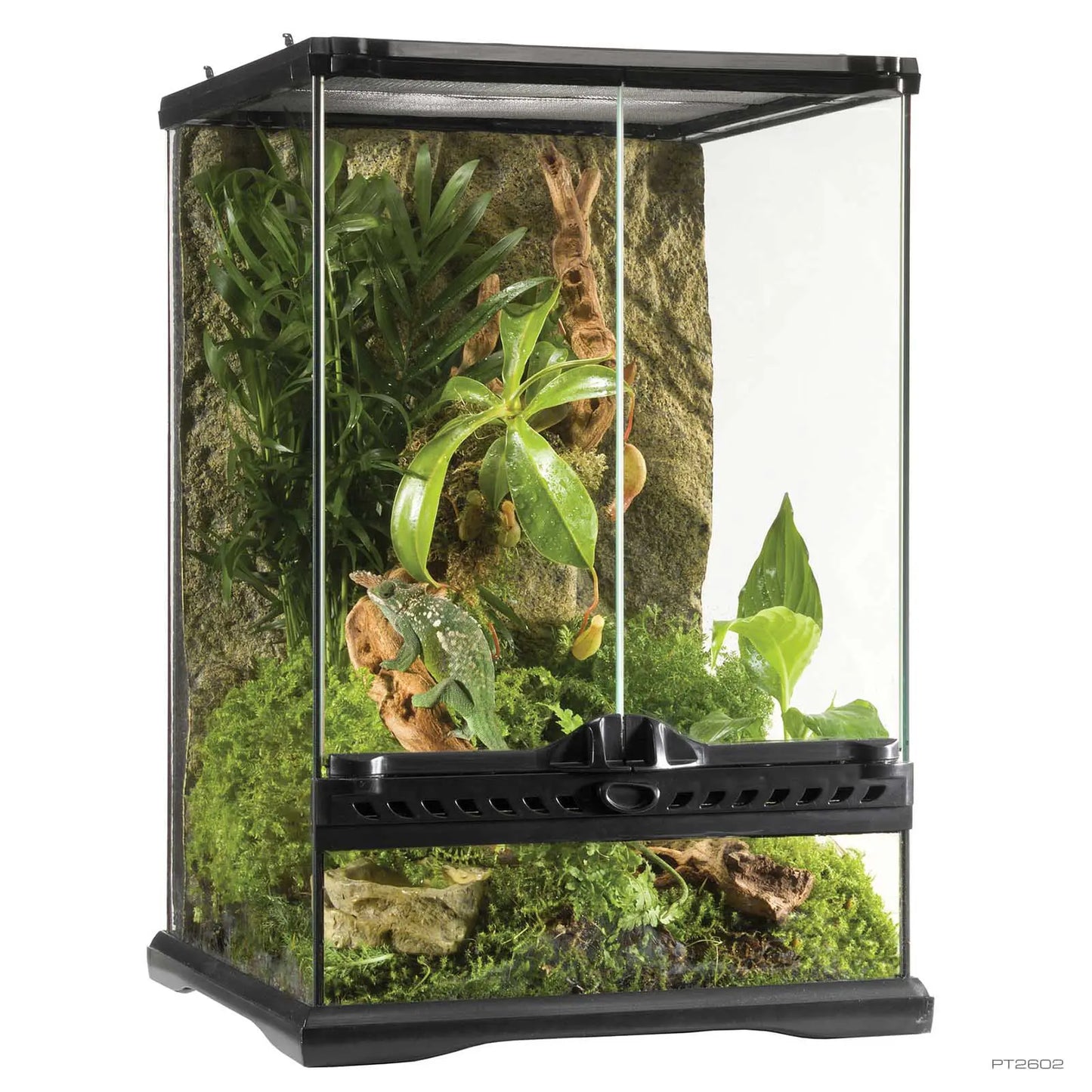 Exo Terra Natural Terrarium Mini Tall Advanced Glass Reptile Habitat