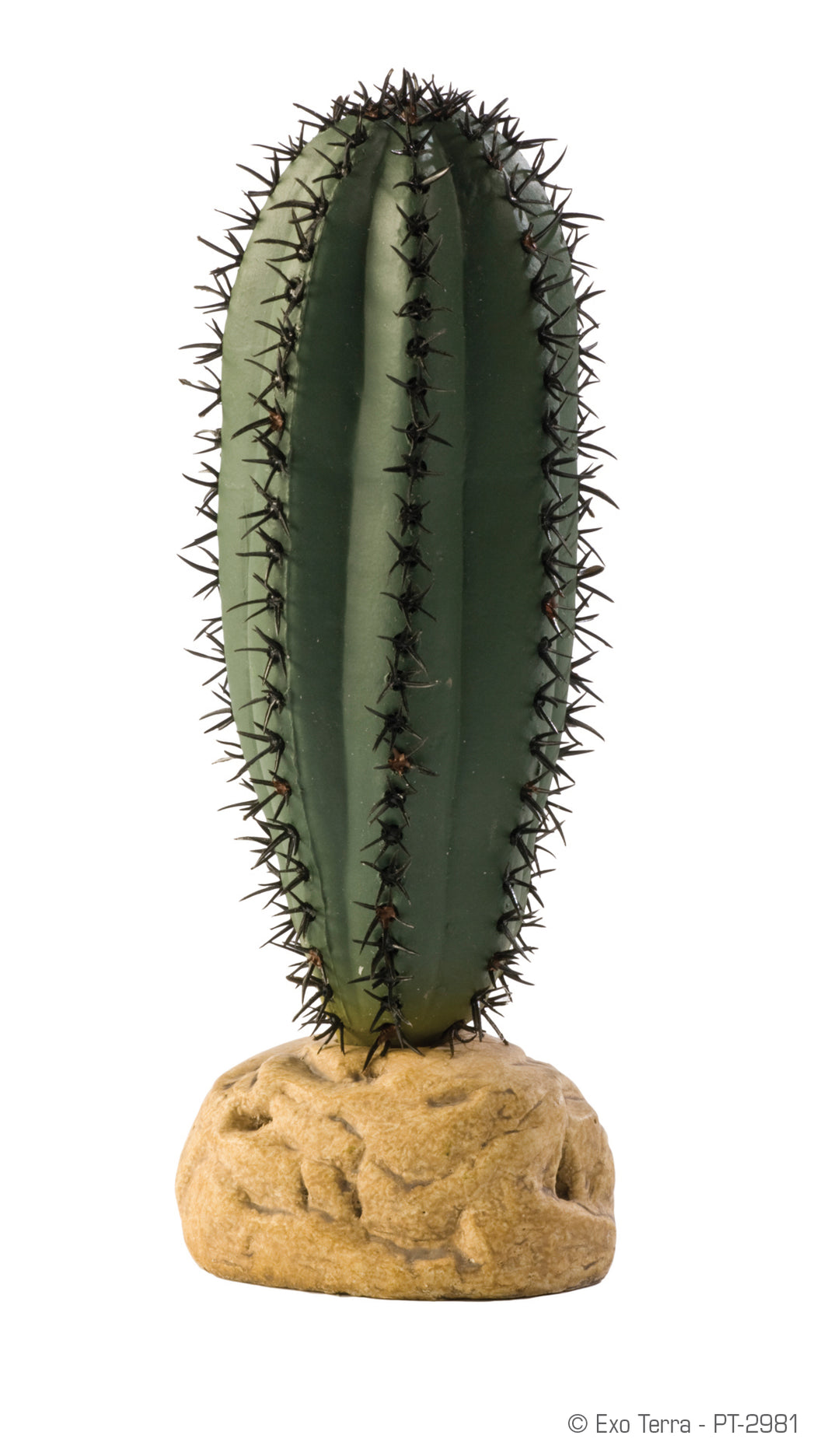 Exo Terra Desert Plants Saguaro Cactus
