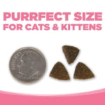 Pure Vita Grain Free Salmon & Peas Cat Food