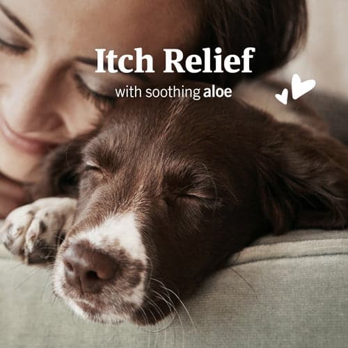 PetArmor Ear Mite & Tick Treatment for Dogs - 3oz