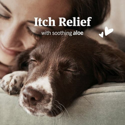 PetArmor Ear Mite & Tick Treatment for Dogs - 3oz