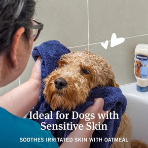 PetArmor® Hawiian Ginger scent Flea & Tick Oatmeal Shampoo for Dogs 18 oz.