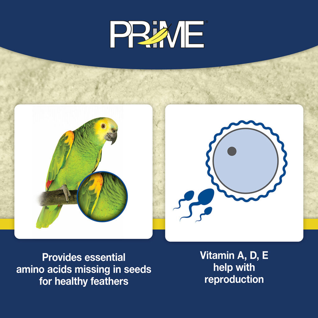 Hari Prime Powder Bird Vitamins, 1.1 oz