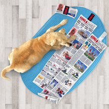 Load image into Gallery viewer, KONG Daily Newspaper XL Dog Toy
