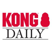 Load image into Gallery viewer, KONG Daily Newspaper XL Dog Toy
