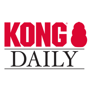 KONG Daily Newspaper XL Dog Toy