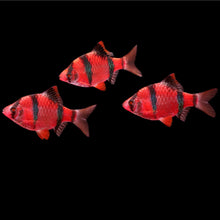 Load image into Gallery viewer, GloFish Barb
