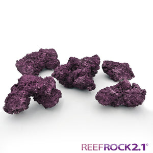 Reef Rock 2.1 Nano Series Fiji Hand Crafted Aquarium Dry Rock Per Pound