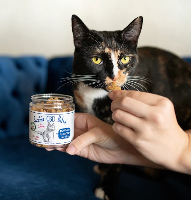 Suzie's CBD Bites for Cats Chicken & Tuna, 4.2 oz