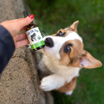 Suzie's CBD Full Spectrum Drops for Dogs 250mg