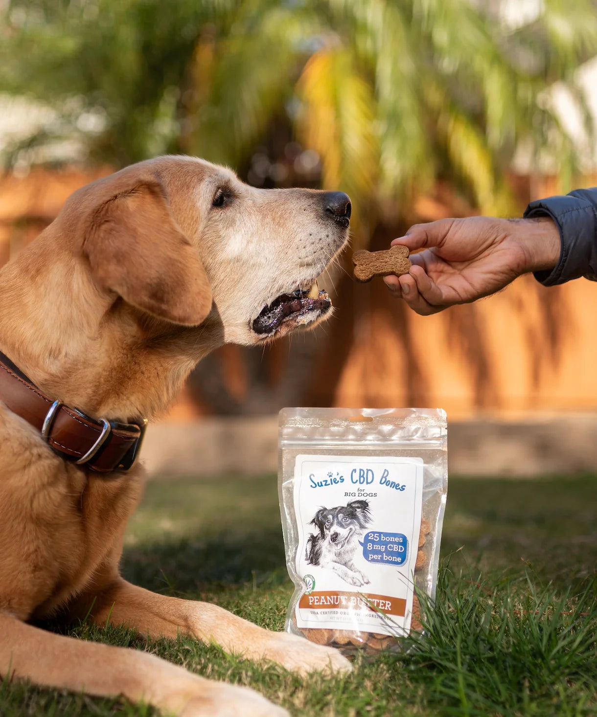 Suzie's CBD Bones for Big Dog's Peanut Butter, 16 oz