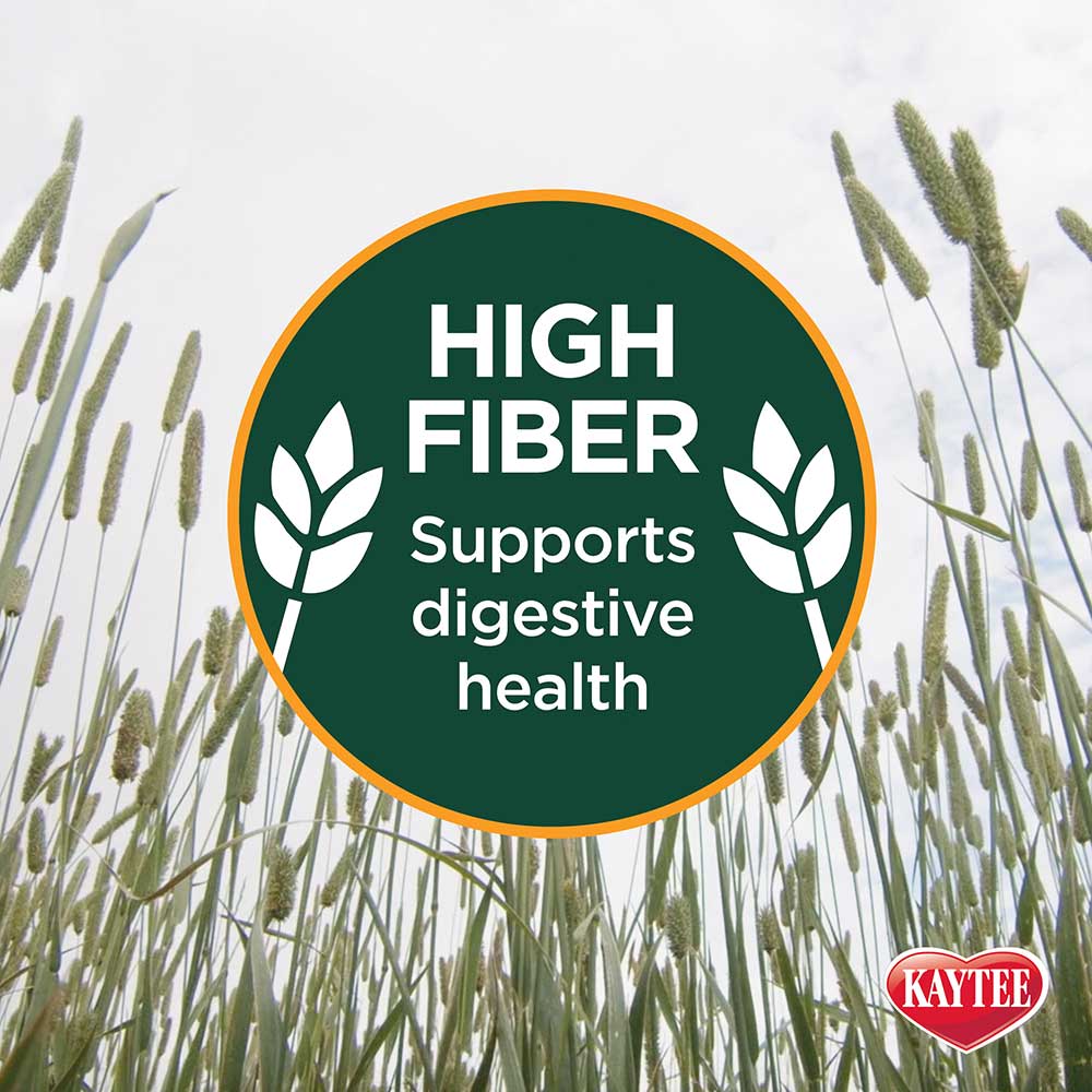 Kaytee Natural Timothy Hay Plus Cranberries Small Animal Treat, 24 oz