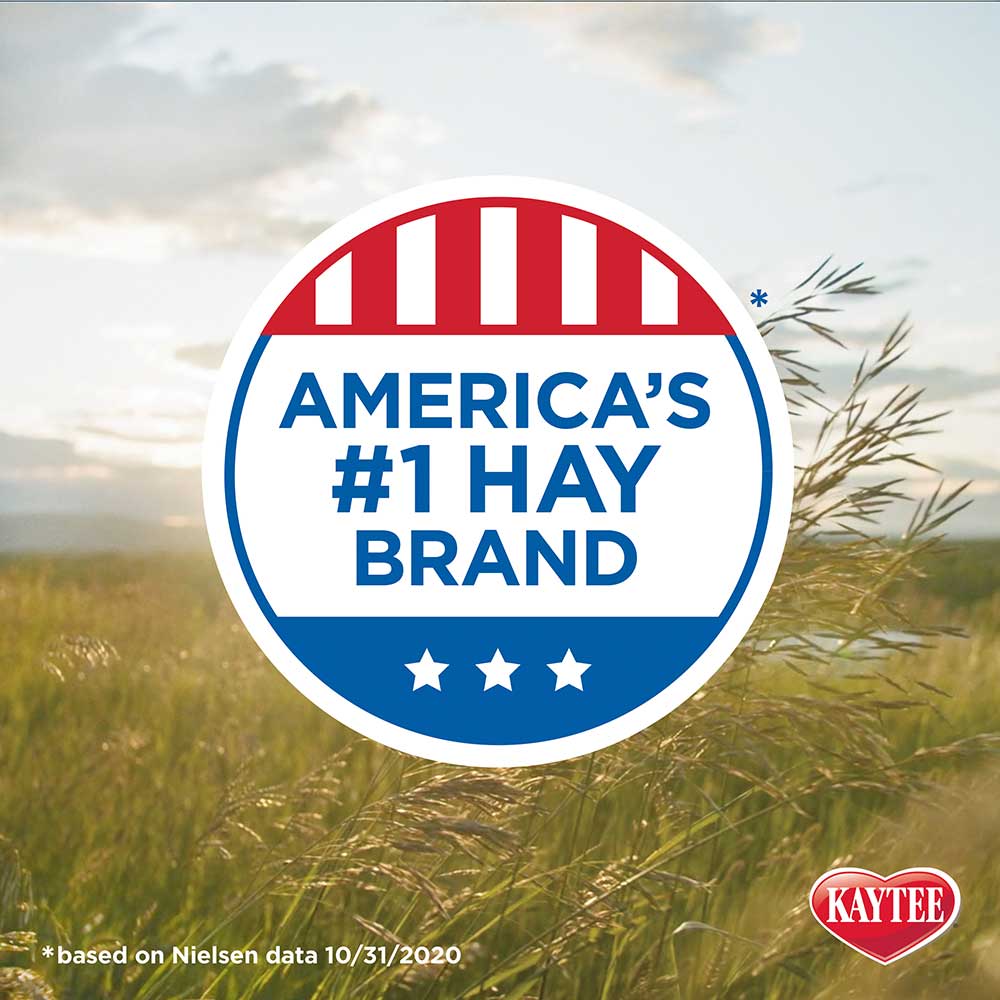 Kaytee Natural Timothy Hay Plus Cranberries Small Animal Treat, 24 oz