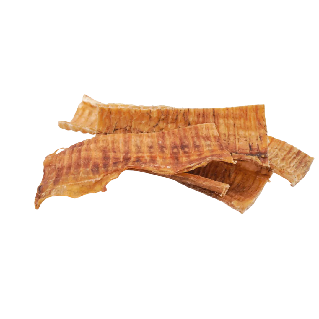 Raw Dog Chews 6 Inch Beef Trachea Chews