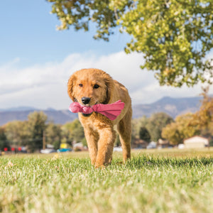 Kong Wubba Puppy Dog Toy