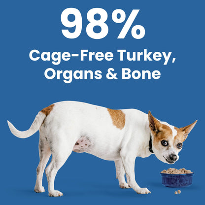 BIXBI Rawbble Turkey Recipe Grain-Free Freeze-Dried Dog Food