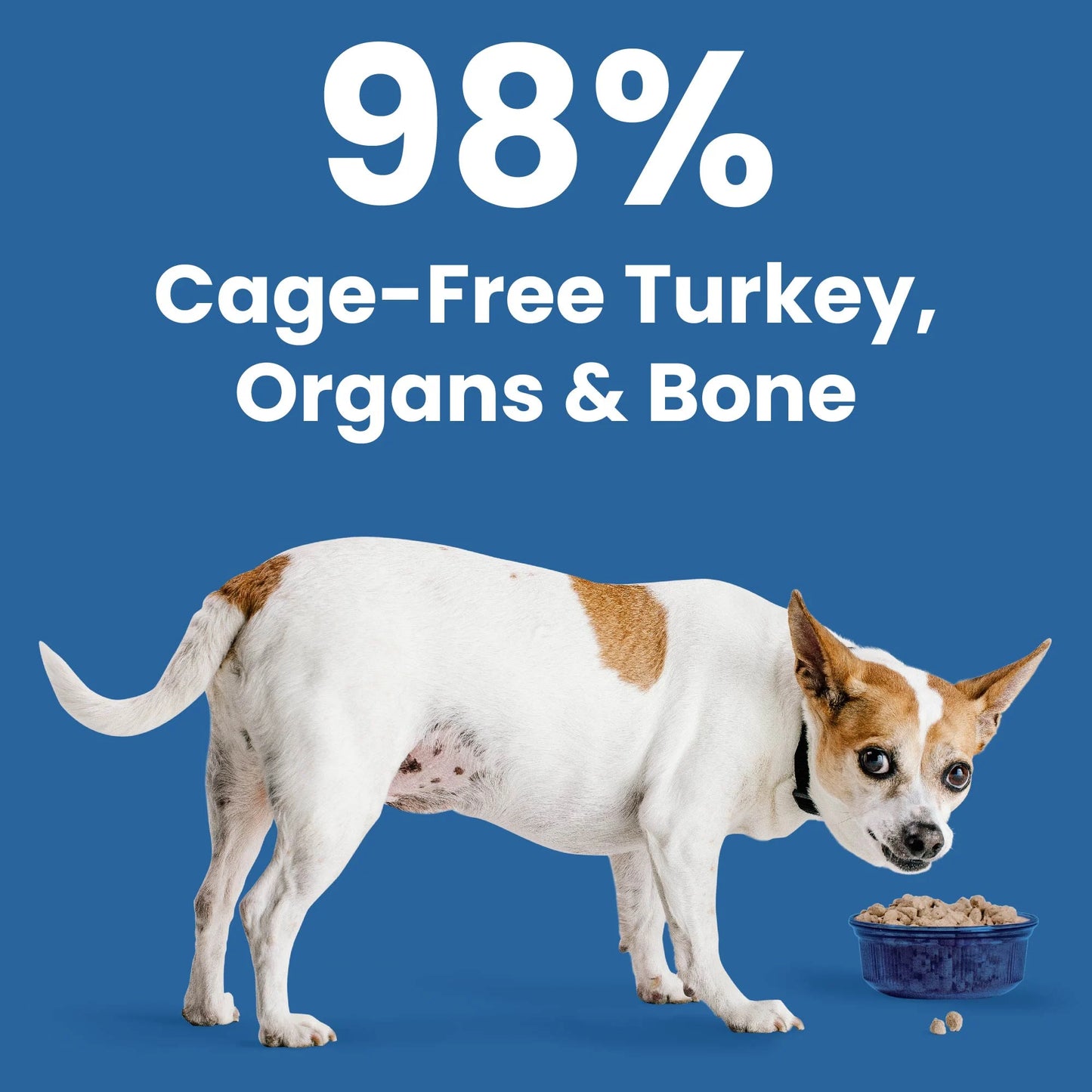 Bixbi Rawbble Freeze-Dried Food for Dogs Turkey Recipe, 4.5 oz