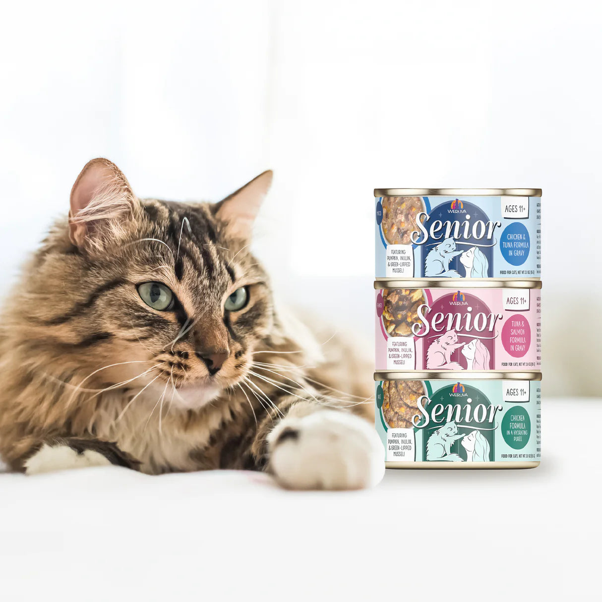 Weruva Senior Chicken & Tuna Formula in Gravy Canned Cat Food, 3 oz